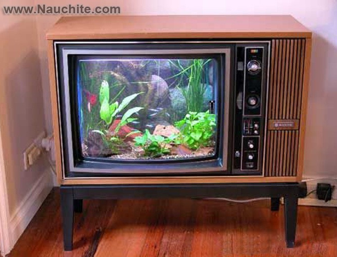 аквариум на телевизор