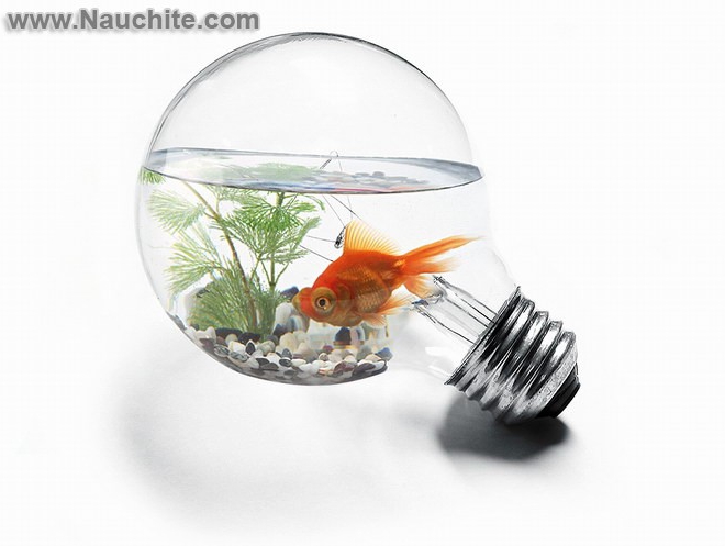 aquarium_bulb_02.jpg