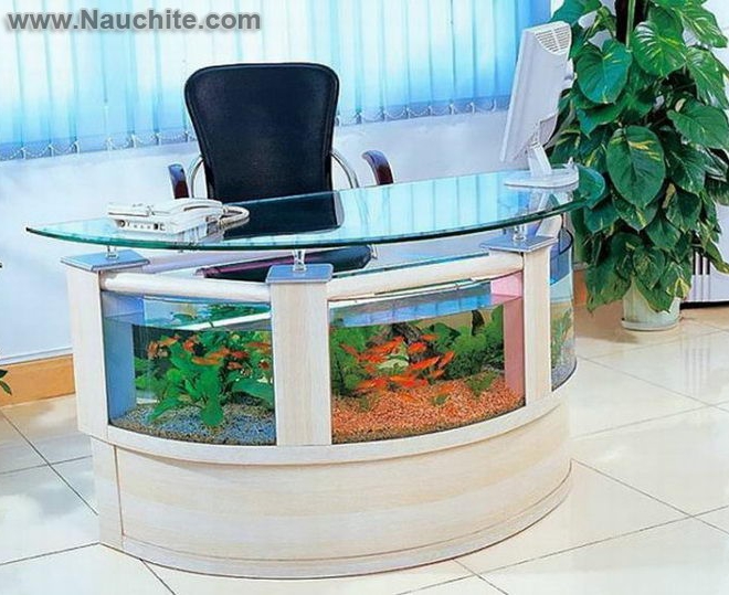 aquarium_desk.jpg