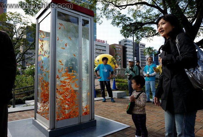phone_booths_aquariums_04.jpg