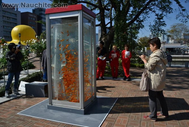 phone_booths_aquariums_10.jpg