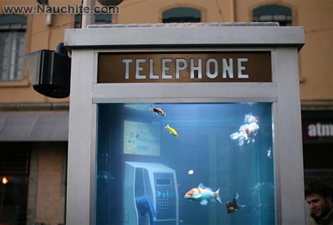 phone_booths_aquariums_b_00.jpg
