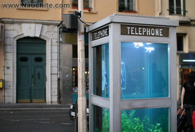 phone_booths_aquariums_b_01.jpg