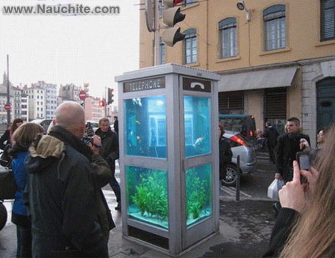 phone_booths_aquariums_b_02.jpg