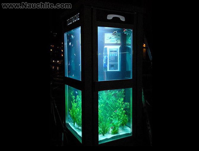 phone_booths_aquariums_b_03.jpg